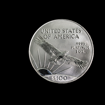 One-ounce American Platinum Eagle Coin in Melbourne, Florida